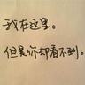 《好东西》首日票房2600万 贾樟柯《风流一代》150万